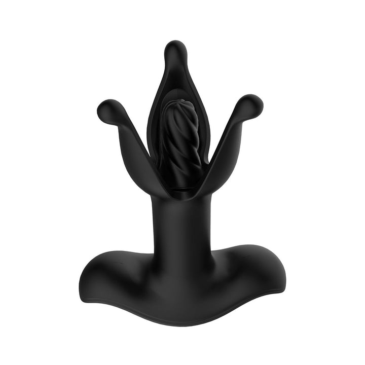 Plug anal Teazers en position d&